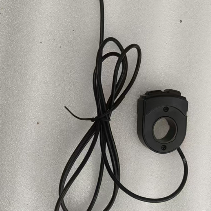 Ridstar headlight and horn switch