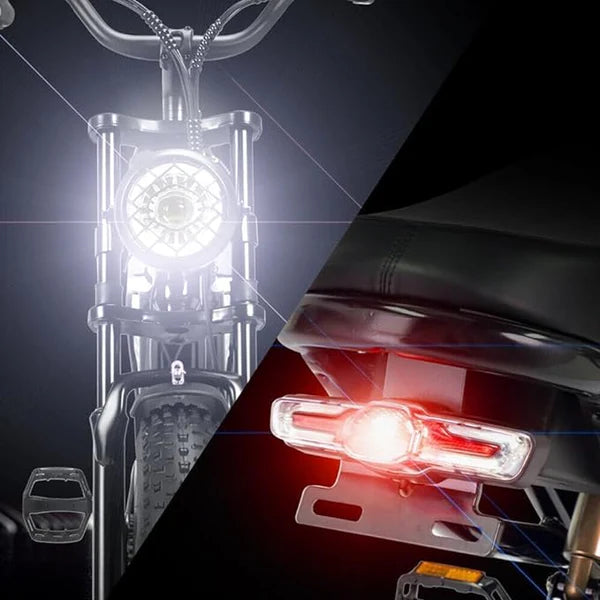 New Ridstar Q20 Lite 1000W 48V 15AH Fat Tire Electric Bicycle