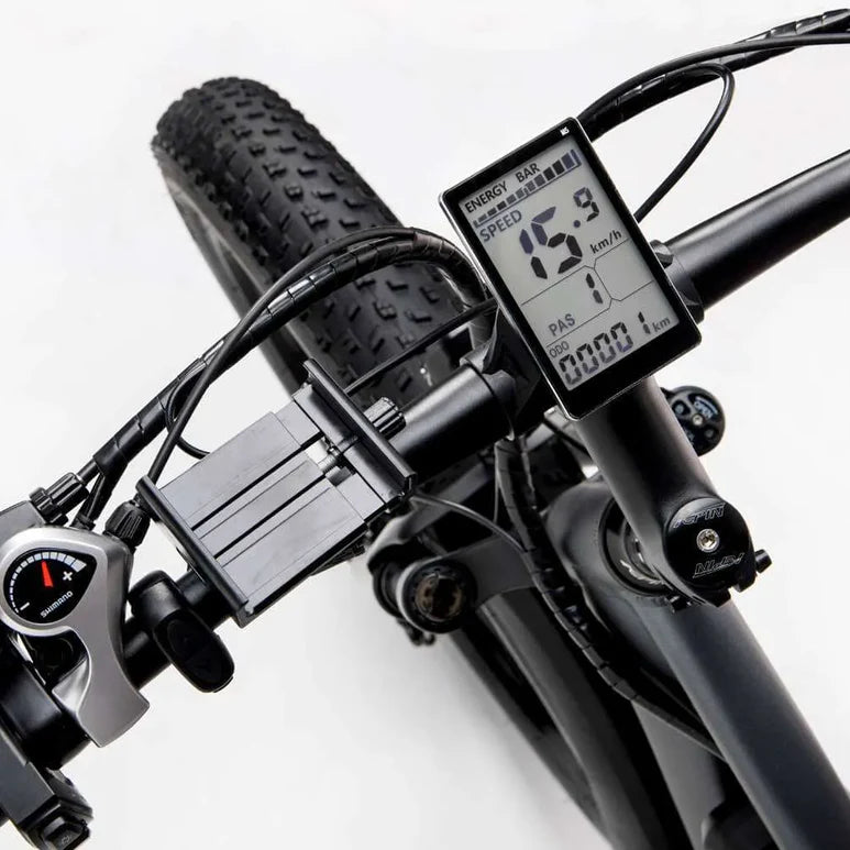 Ridstar E Bike E26 1000W 48V 20AH Battery