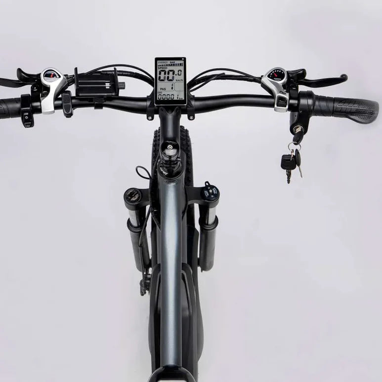 Ridstar E Bike E26 1000W 48V 20AH Battery