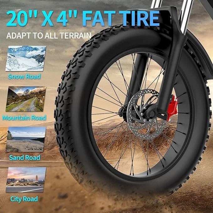 Ridstar Q20Pro 2000W Fat Tire Electric Bicycle