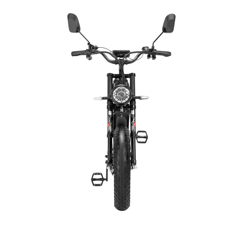 New Ridstar Q20Pro 2000W Dual Motors Fat Tire Electric Bicycle